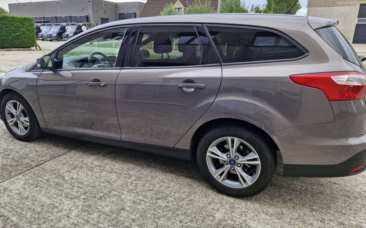 focus stw (22)