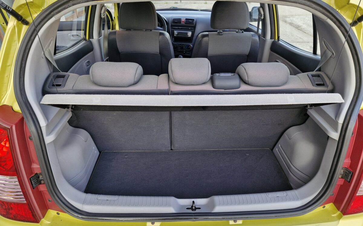 picanto groen (15)